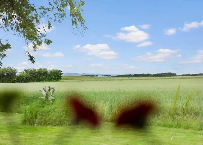 20221-samso-violvej-8 Dom wakacyjny *